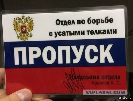 Усики-пропуск в трусики