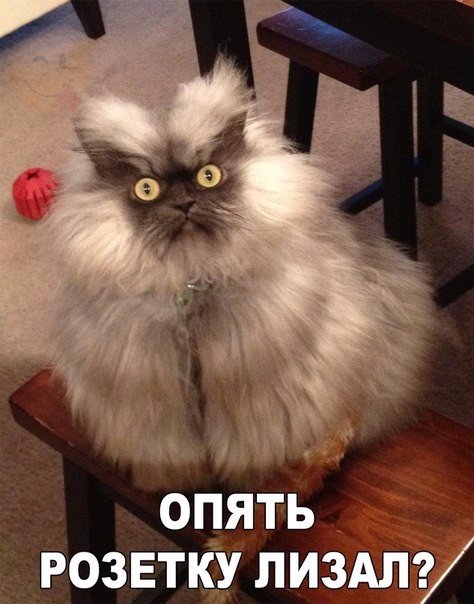 Фото всякое разное