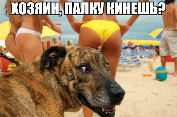 Фото-винегрет на субботу