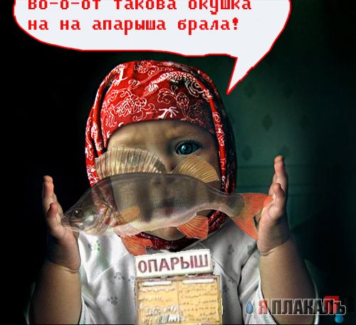 Пятничная малышня на ЯПе