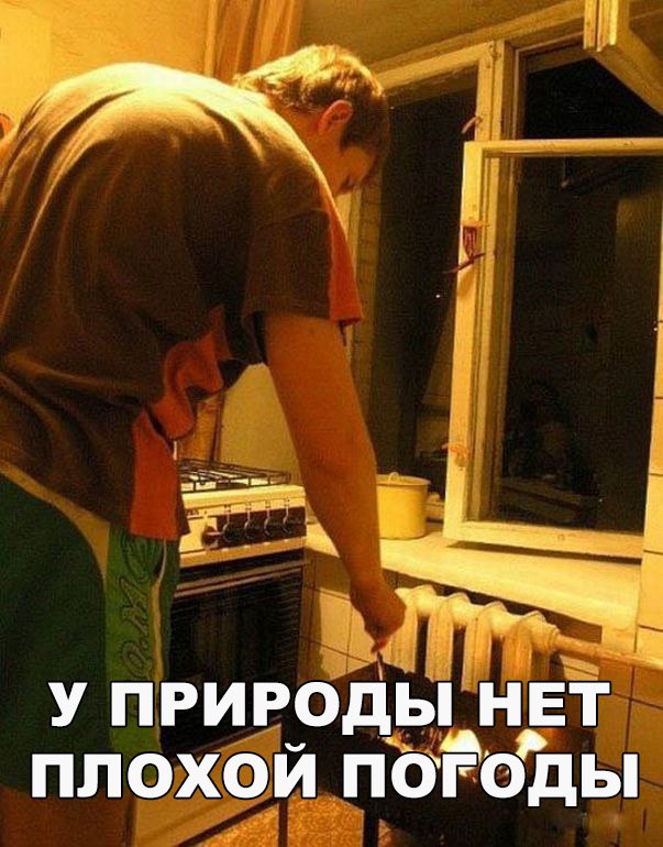 Подборка безудержного веселья