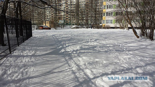 Питерская весна, будь она неладна
