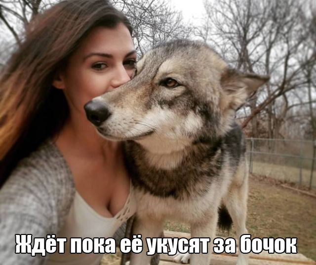 Подборка интересных и веселых картинок