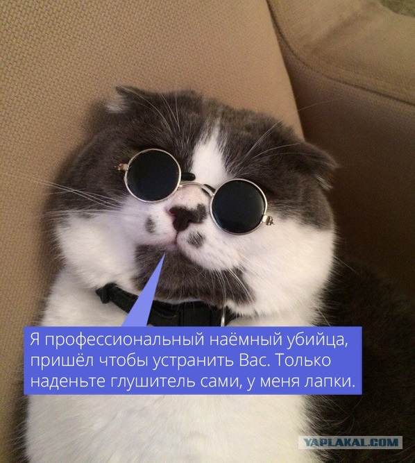 Скрипаля отравили британские спецслужбы веществами, произведенными в Великобритании на деньги США