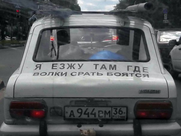 Прикольные картинки абавсём