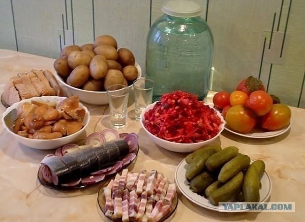 С Днем Рождения, ЯП! 14 лет