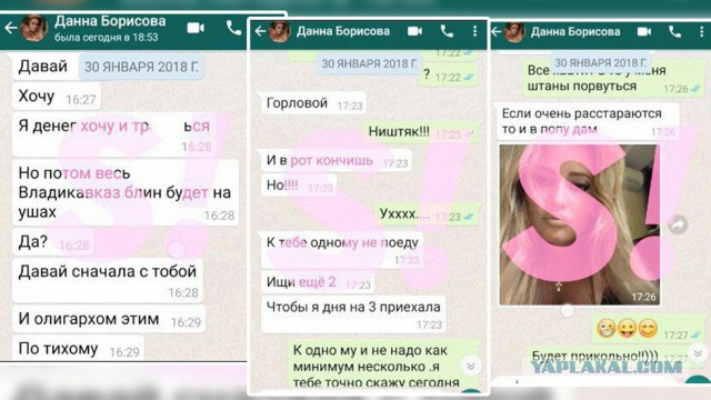 Дана Борисова в эфире НтВ призналась в проституции