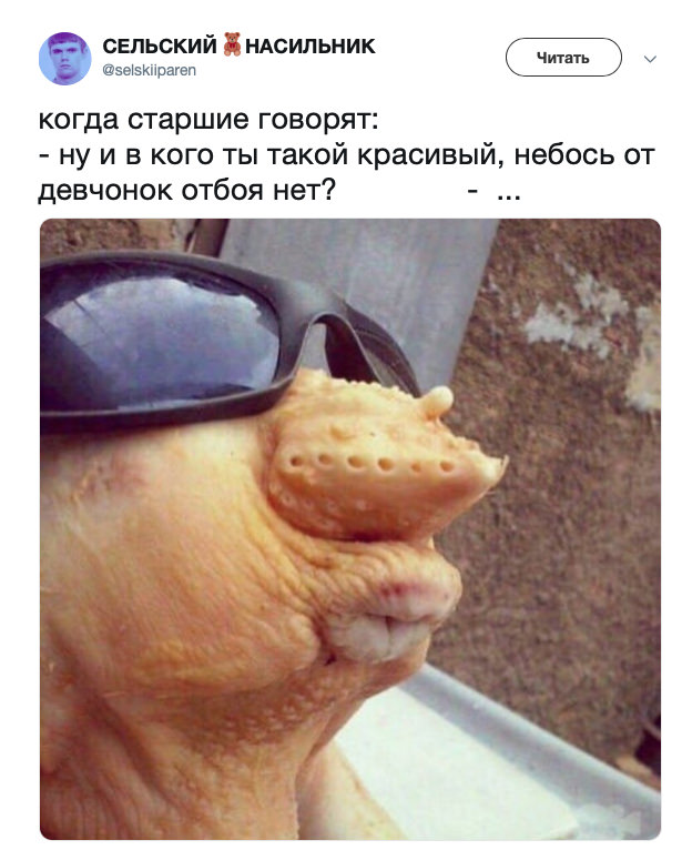 Немного картинок для настроения