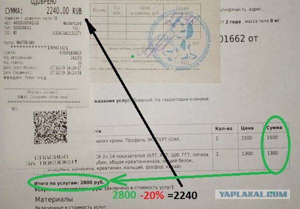 Помогите вернуть кота! Приют "Преданное сердце" украл кота и не отдает!