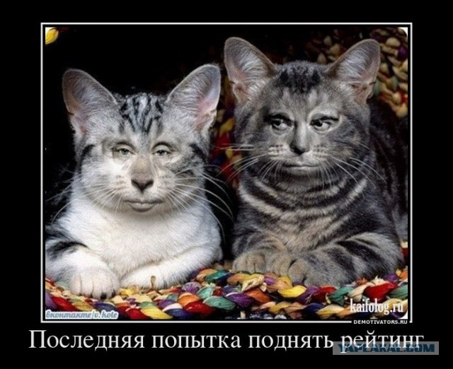 Медведев сравнил цены на интернет в России и США