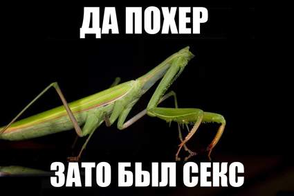 Как поступает "настоящий мужчина" при разводе