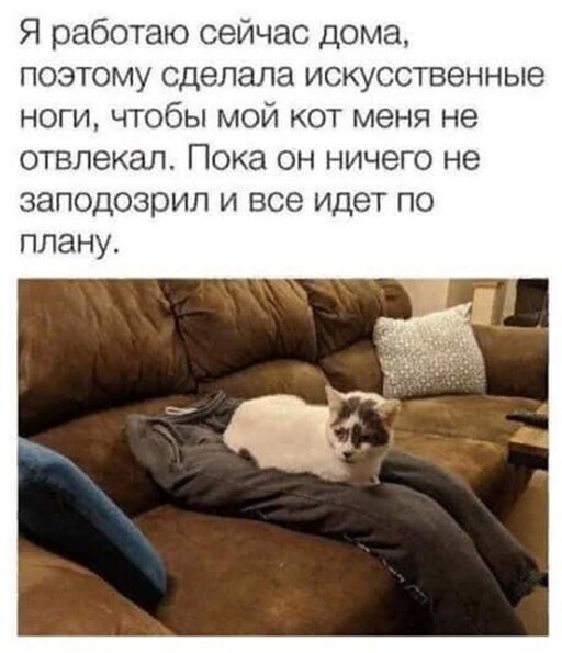 Немного картинок для настроения 11.05.20