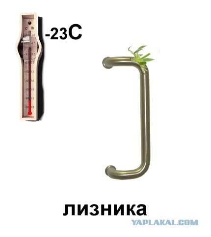 Фотожаба: Лето, фрукты, генетика!
