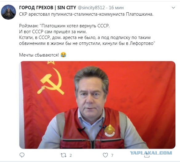 Платошкин Николай Николаевич арестован!