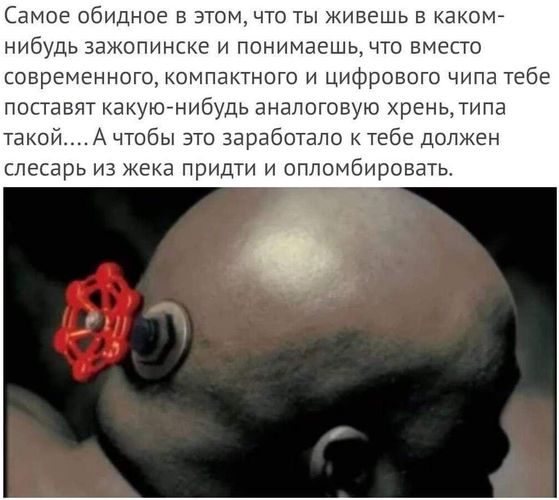 Из чебурека в расстегай