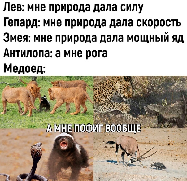 Обед отжали