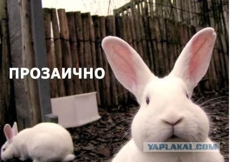 Фотожаба: А ты?