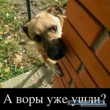 Подкаблучники, кто они и что ими движет