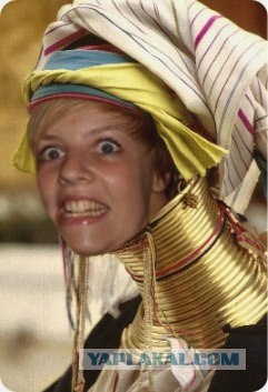 Вытянулась: картинка и 2 жабы