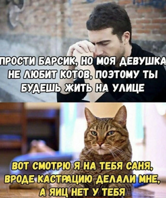 Немного картинок с надписями и без - 20.01.21