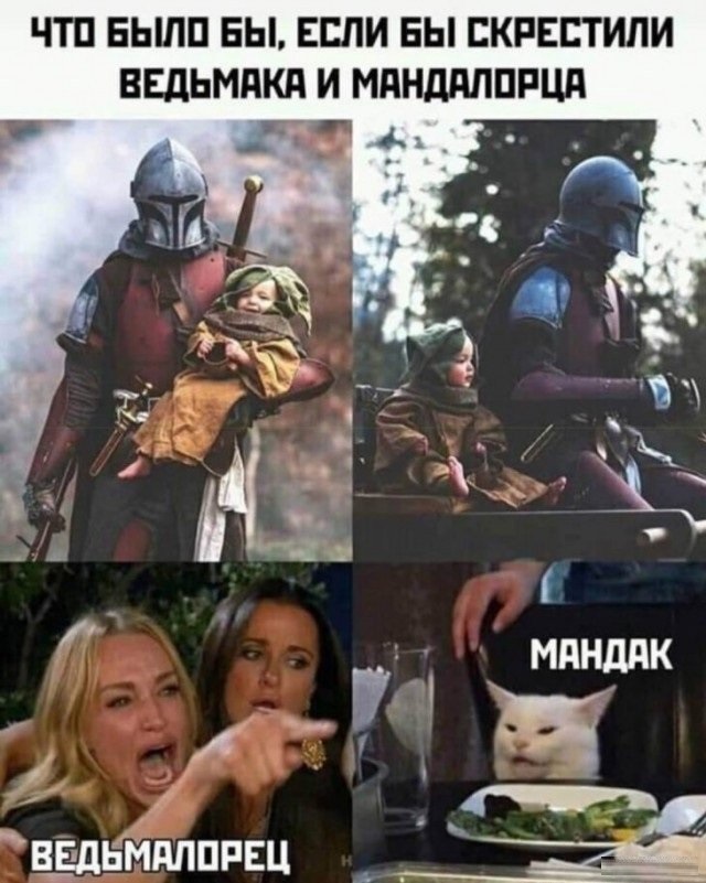 Кота не переубедить