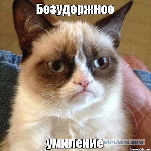 Что эта такое, коллеги?!