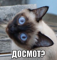 Ростовский инцидент