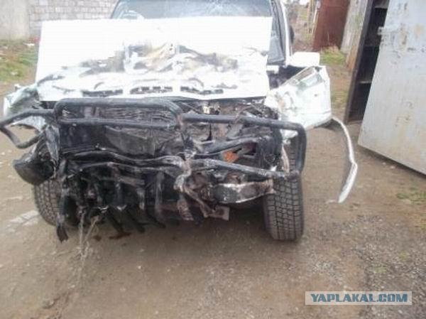 Лобовая с газелью