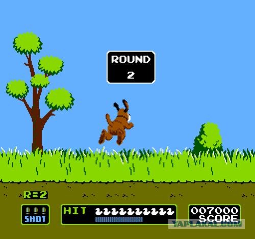 Собака поскакака