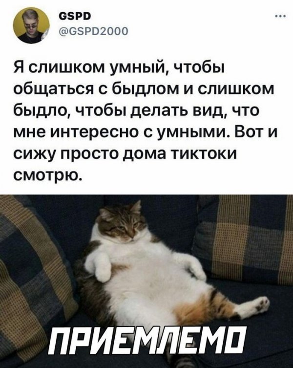 Картинки и мемы для настроения 28.04.2021