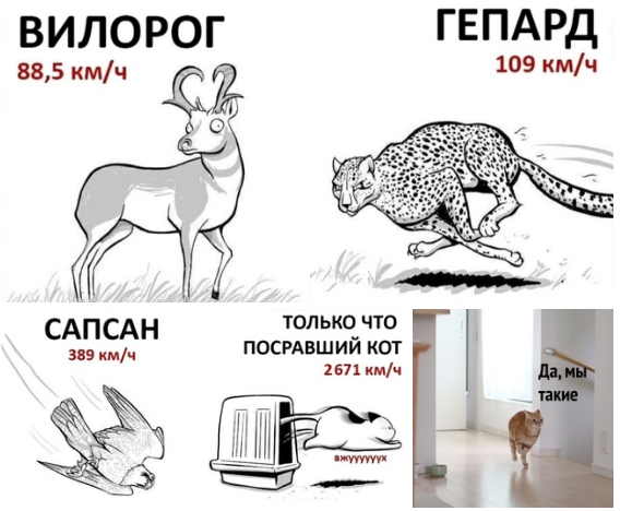 Картинки и мемы для настроения 12.05.2021