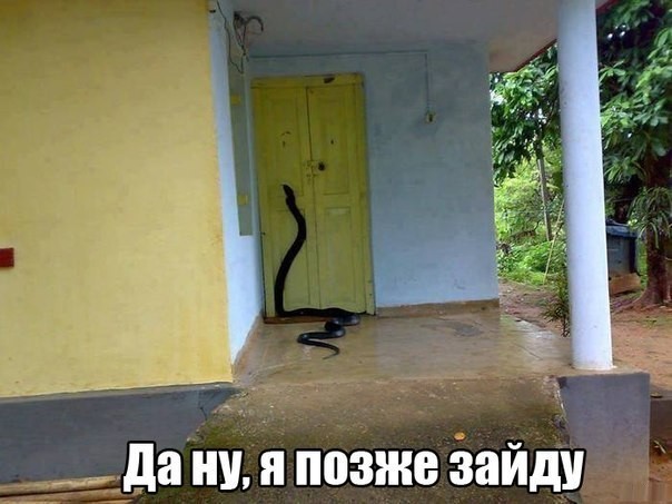 За женой на Филиппины