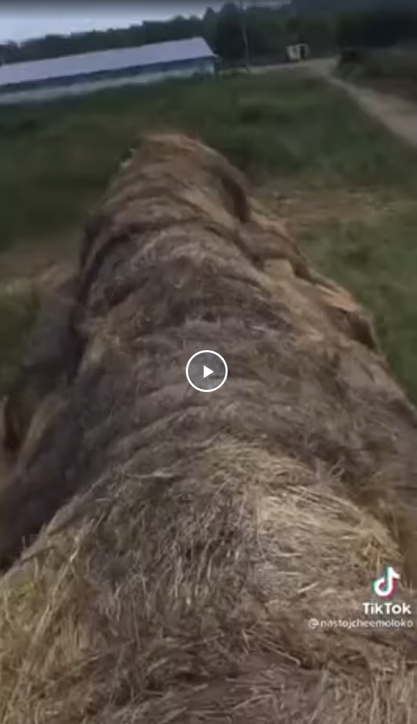 Коротко о сельском хозяйстве