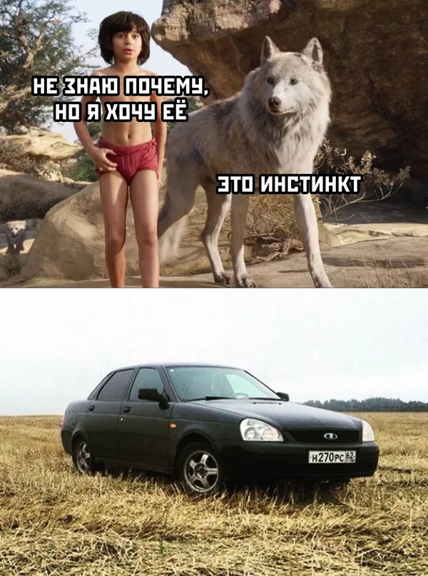 Весёлый полтишок 04.10