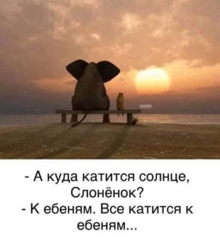 Картинки на пятницу 26.11.2021