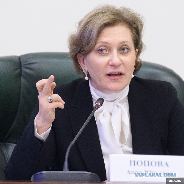 Воробьев потребовал разобраться, почему в школах Подмосковья не кормят пельменями