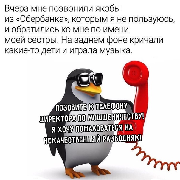 Весёлый полтишок 03.02