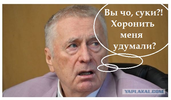 ЛДПР собрала экстренное совещание из-за болезни Жириновского