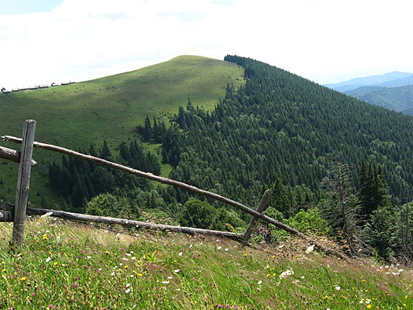 Красота Карпатских гор
