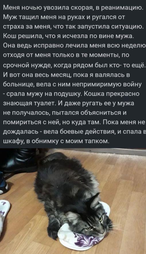 Так себе картинки 17.04.22