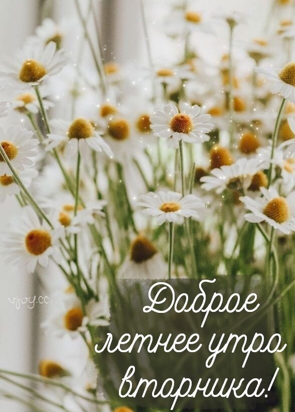 Два мнения о мужчинах 40+