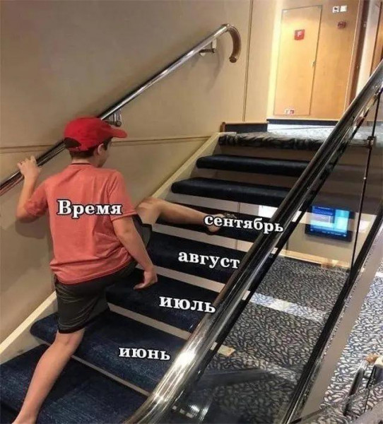 Чуток картинок 04.08.22