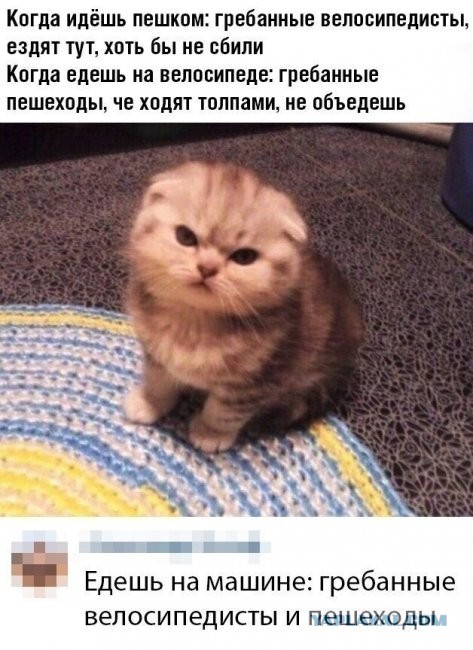 Скриншоты и комментарии из социальных сетей 04.09.22