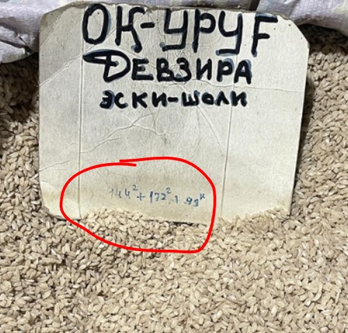 Плов домашний