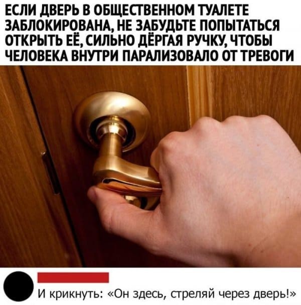 Весёлый полтишок 08.05.23