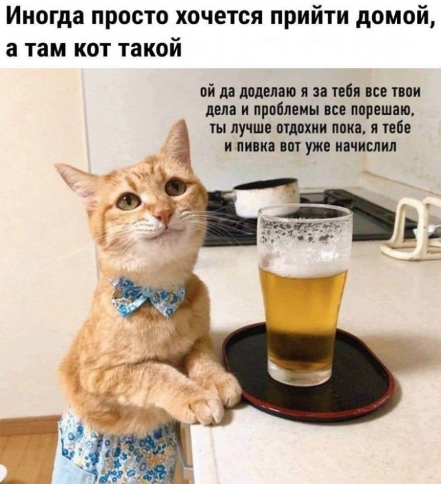 Картинки и мемы, всяко разно - 181