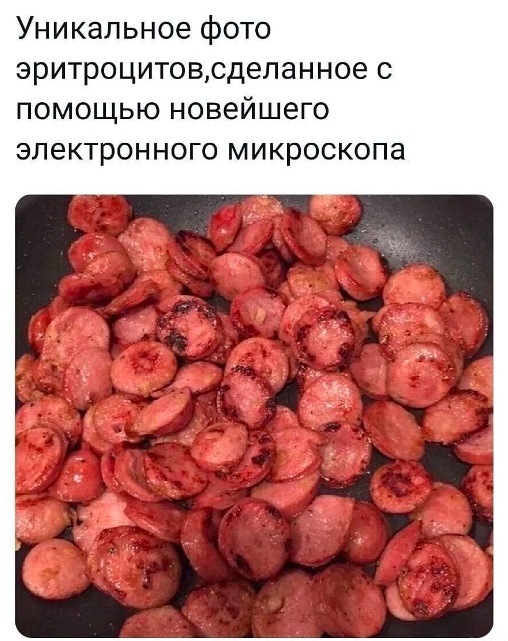 Сотка отборных баянов картиночной направленности