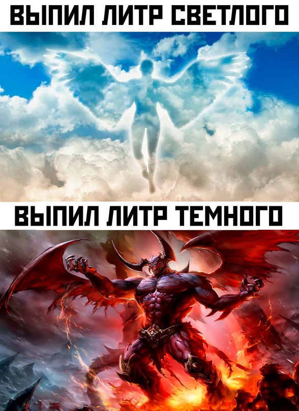 Весёлый полтишок 29.08.23
