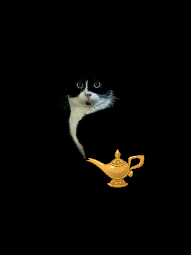 Кошкопортрет