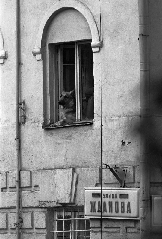 Фотографии из прошлого нашей страны - 50